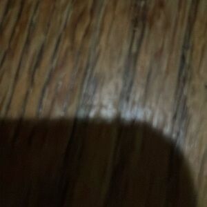 Crate &Barrel 12 wooden Christmas Ornaments